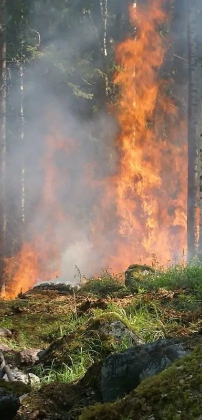 Vibrant forest fire with flames and smoke, perfect for a phone wallpaper.