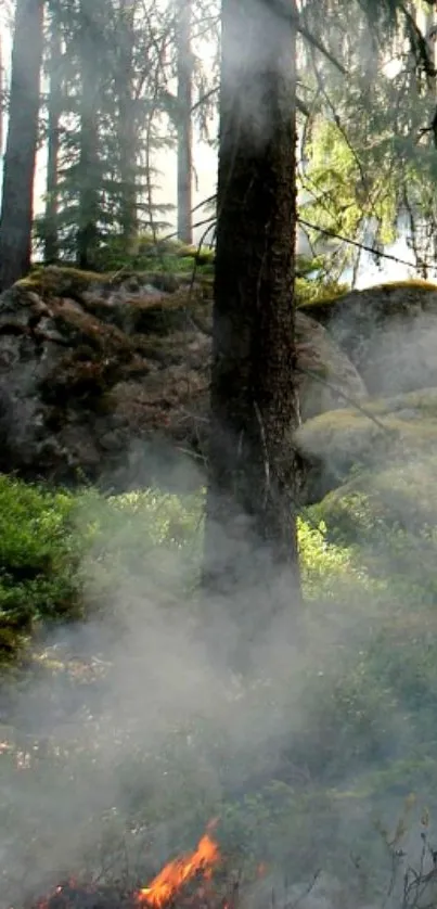 Misty forest with smoke and fire in serene setting.