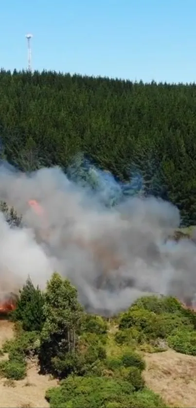 Mobile wallpaper of a forest fire with smoke and green forest trees.