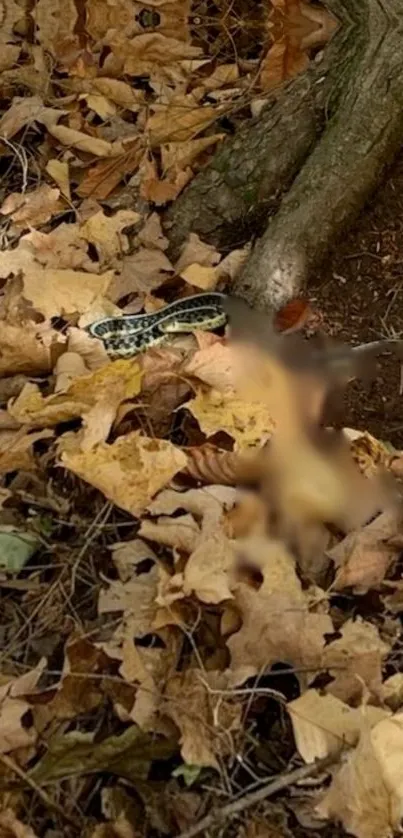 Snake camouflaged among forest leaves, blending with autumn colors.