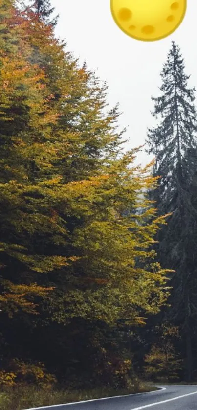 Autumn forest path with yellow moon overhead, creating a serene mobile wallpaper.