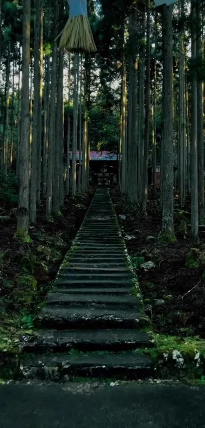 Pathway through tall forest trees creating a serene mobile wallpaper.