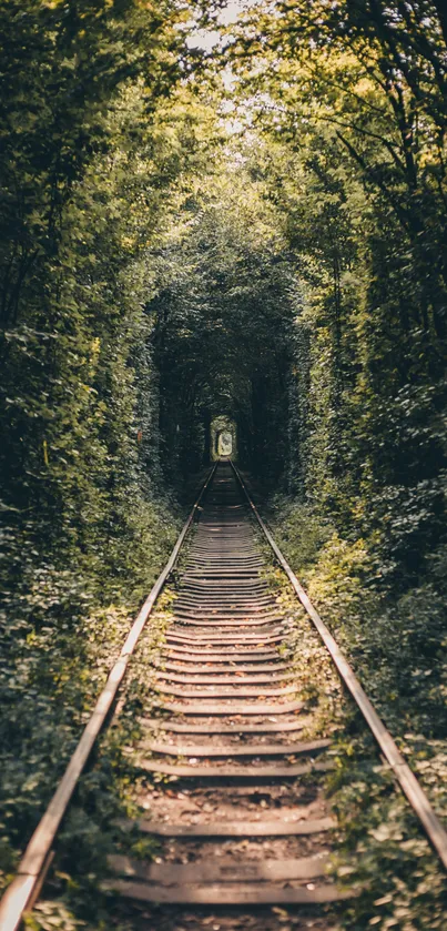 Forest railway path wallpaper showcasing lush greenery.