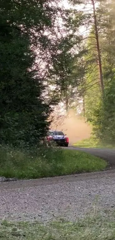 Rally car navigating through lush green forest road with dust trail.