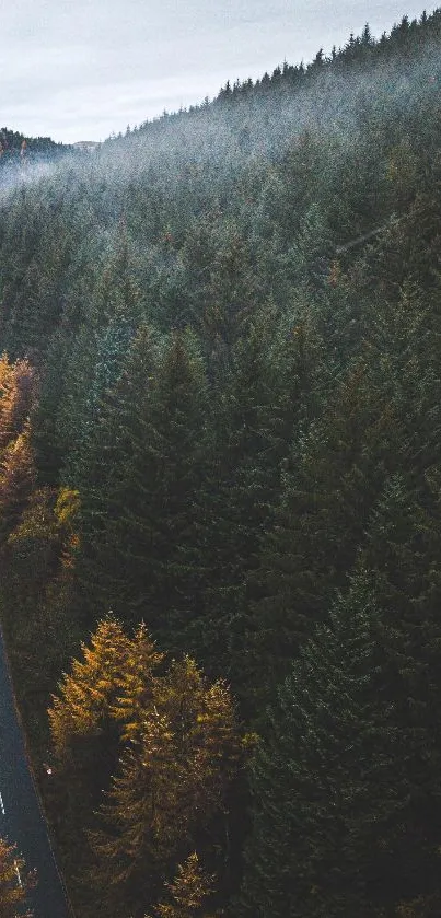 A winding road through autumn forest under misty skies in a mobile wallpaper.