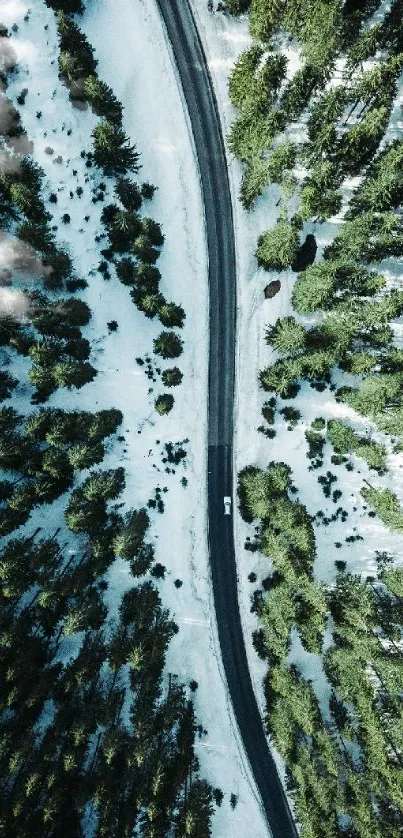 Aerial view of a snowy forest road with pine trees.