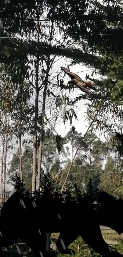 Silhouette of bear in forest landscape with trees and birds.