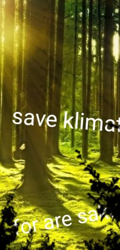 Sunlit forest with eco-friendly message.