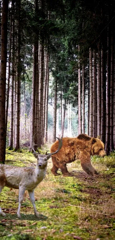 Bear and deer in a serene forest with tall trees and lush greenery.