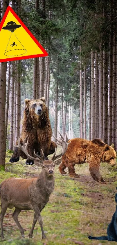 Bears, deer, and cat in a forest with a UFO warning sign.