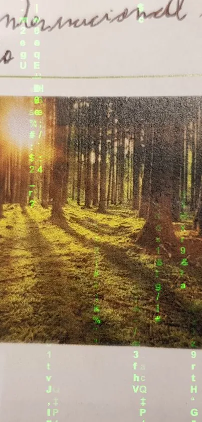 Serene forest scene with glowing digital green codes overlay.