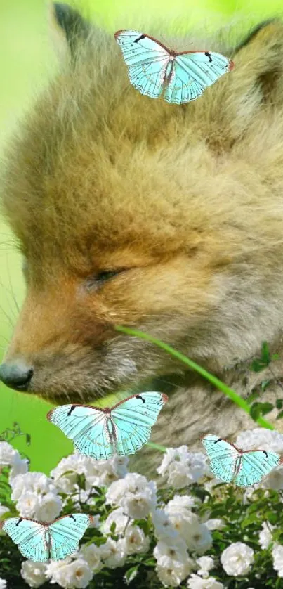 Sleeping fox with blue butterflies and white flowers.