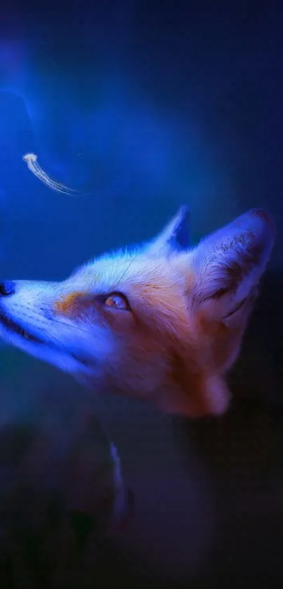 Fox gazing at glowing jellyfish in blue toned wallpaper art.