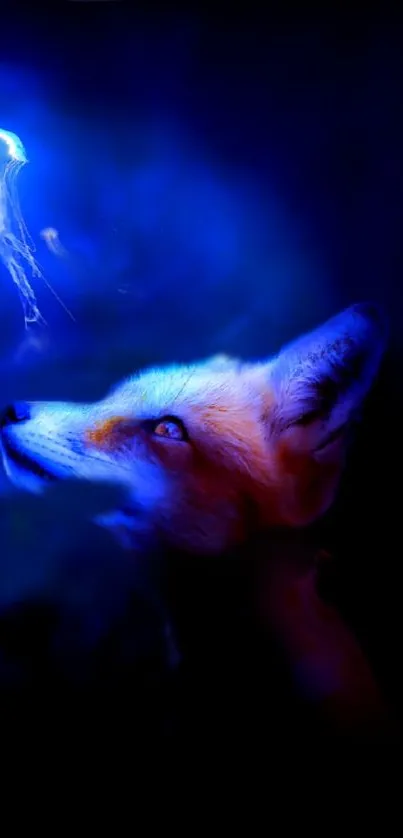 Fox gazing at glowing jellyfish in a blue aura mobile wallpaper.