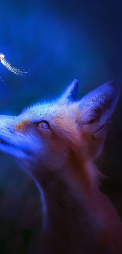 Fox gazing at glowing jellyfish under blue light.