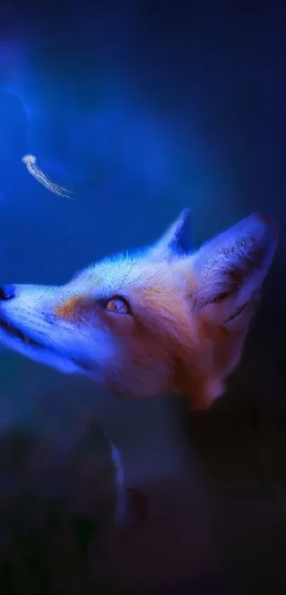 Artistic fox gazing at a starry night sky with vibrant blue hues.