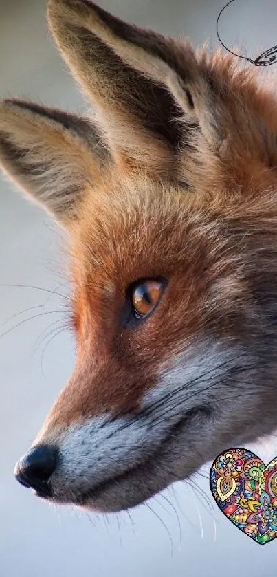 Fox with heart earring against a blurred background.