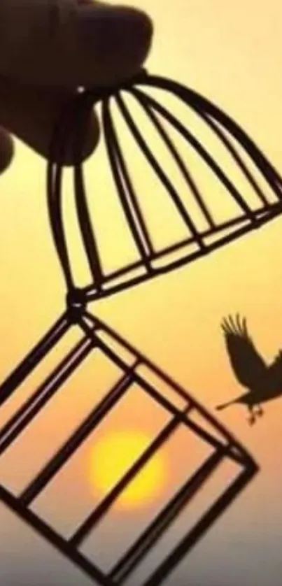 Bird flying from open cage at sunset background.