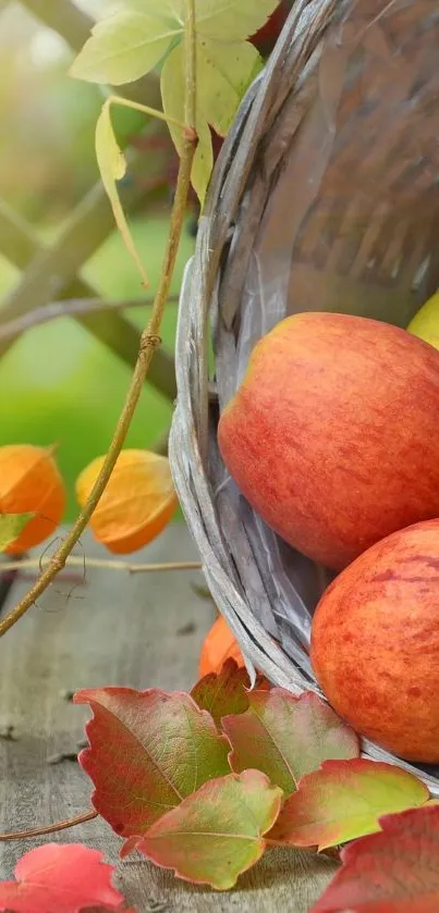 Red apples spill from a basket on a rustic wooden surface with autumn leaves.