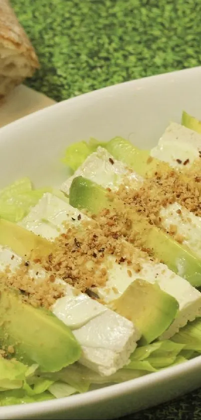 Fresh avocado and cheese salad with crunchy nuts.