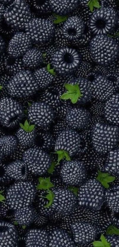 Close-up of fresh blackberries with green leaves.