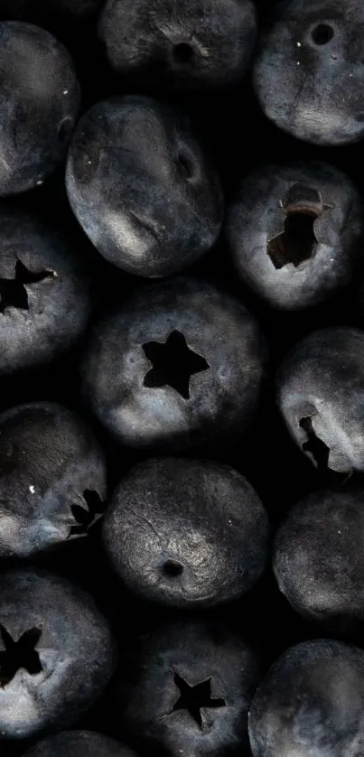 Close-up view of fresh blueberries in vibrant detail.