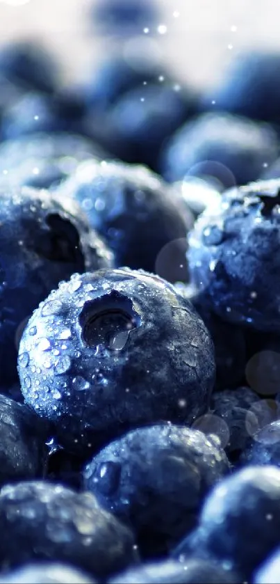 Close-up of fresh juicy blueberries with a natural vibrant blue tone.