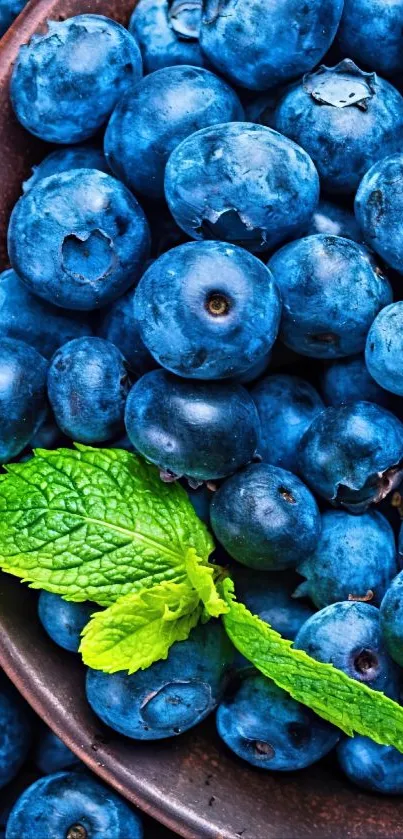 Fresh blueberries with mint leaves.