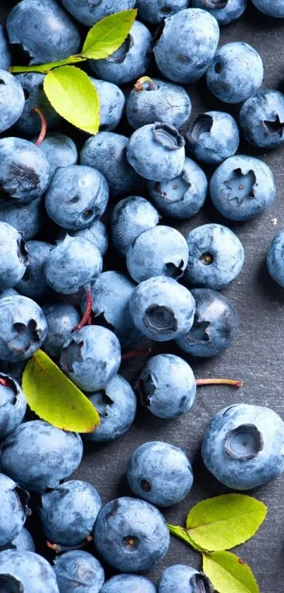 Vibrant blueberries on dark slate mobile wallpaper.