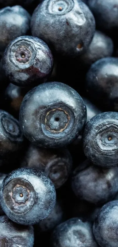 Close-up of fresh blueberries creating a vibrant wallpaper.