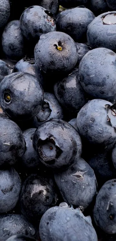 Close-up of fresh blueberries for a vibrant phone wallpaper.