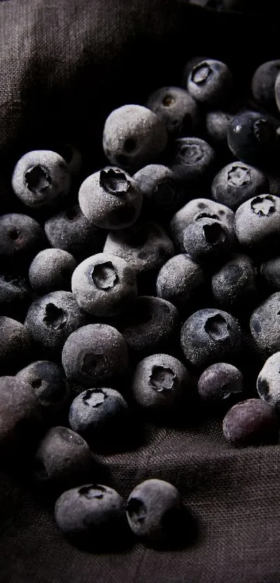 A close-up of fresh blueberries on dark brown cloth.