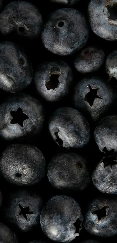 Close-up of fresh blueberries filling the screen, creating a vibrant wallpaper.