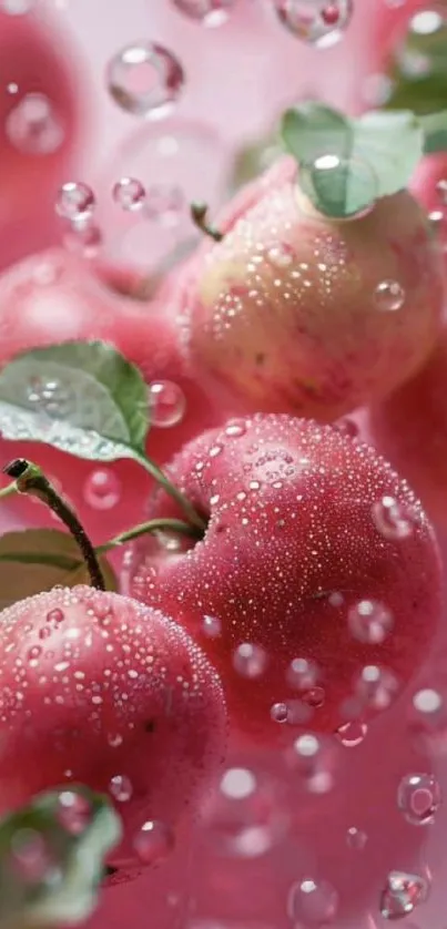 Vibrant apples with water droplets and leaves in a pink background.