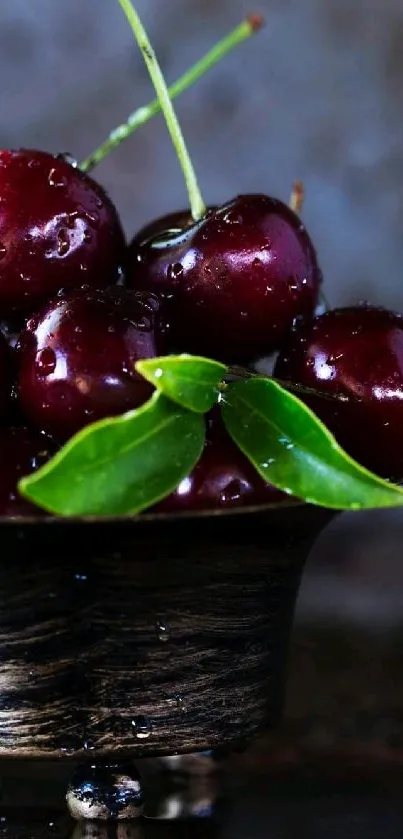 Vibrant cherries resting in a dark bowl with water droplets.