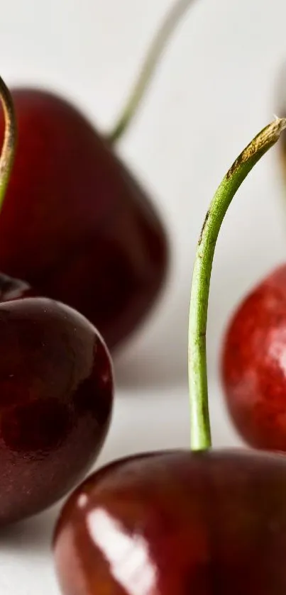 Wallpaper featuring fresh red cherries on a light background for mobile.