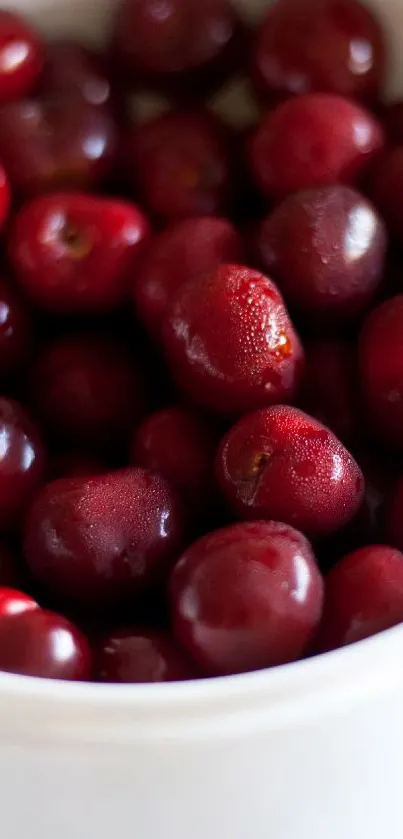 Vibrant cherries in a white bowl, perfect for a fresh phone wallpaper.