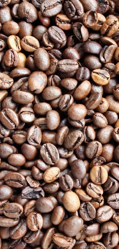 Close-up of roasted coffee beans in a textured pattern.