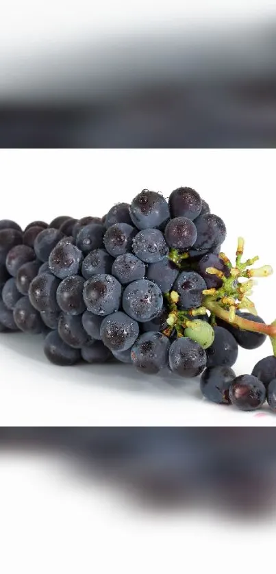 Cluster of fresh grapes on white background.