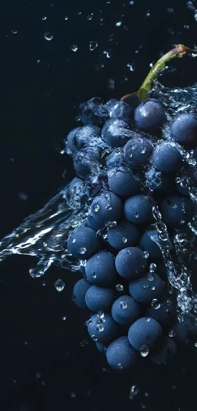 Close-up of fresh grapes with water splash on a dark background.