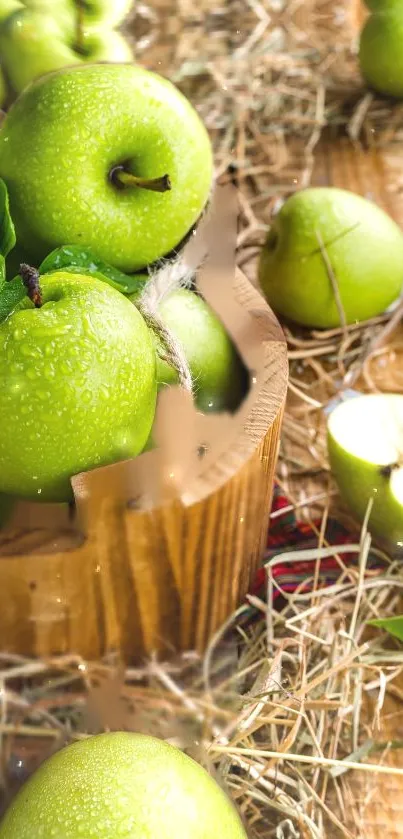 Vibrant green apples in a wooden basket on a rustic surface.