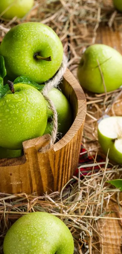 A wooden basket of fresh green apples on straw.