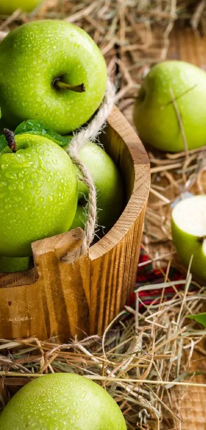 Fresh green apples in a wooden basket with hay background.