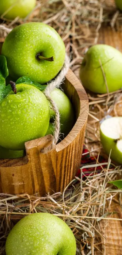 Collection of green apples in a rustic wooden basket with hay.