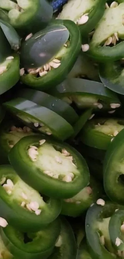 Close-up of fresh green jalapeno slices.