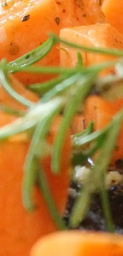 Close-up of orange slices with fresh green herbs.