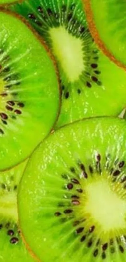 Close-up of fresh green kiwi slices in a vibrant pattern.