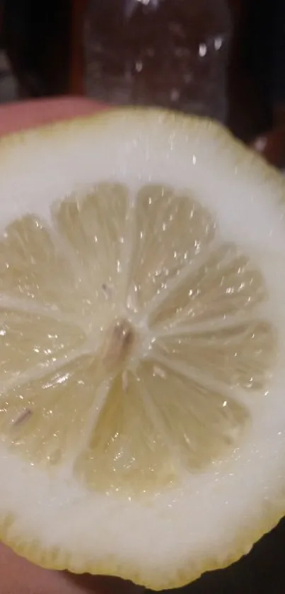 Close-up of a fresh lemon slice with vibrant yellow colors.