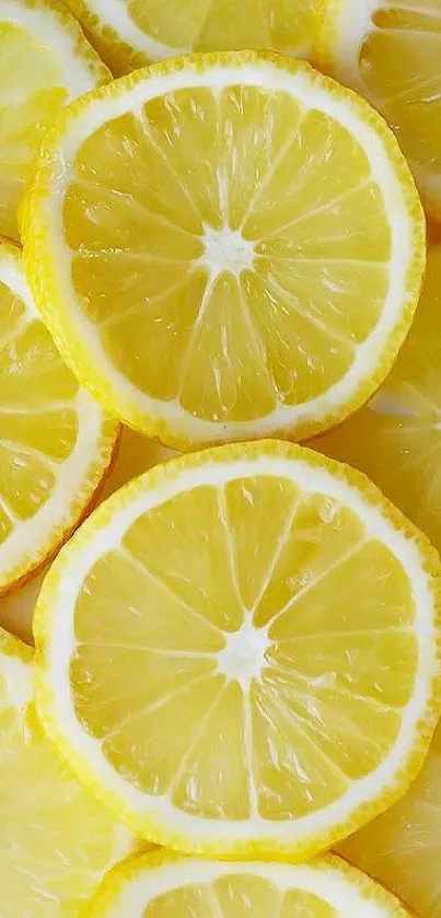 Vibrant lemon slices create a refreshing and cheerful mobile phone wallpaper.