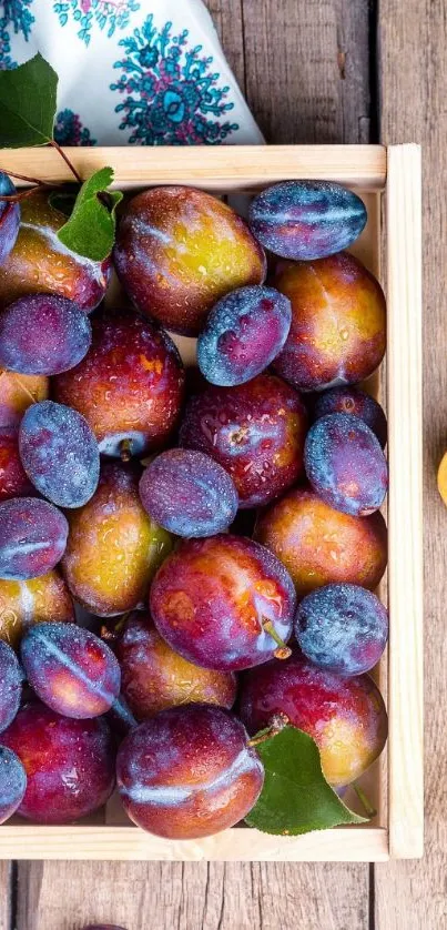 Vibrant plums in a rustic wooden crate on a natural wood background.